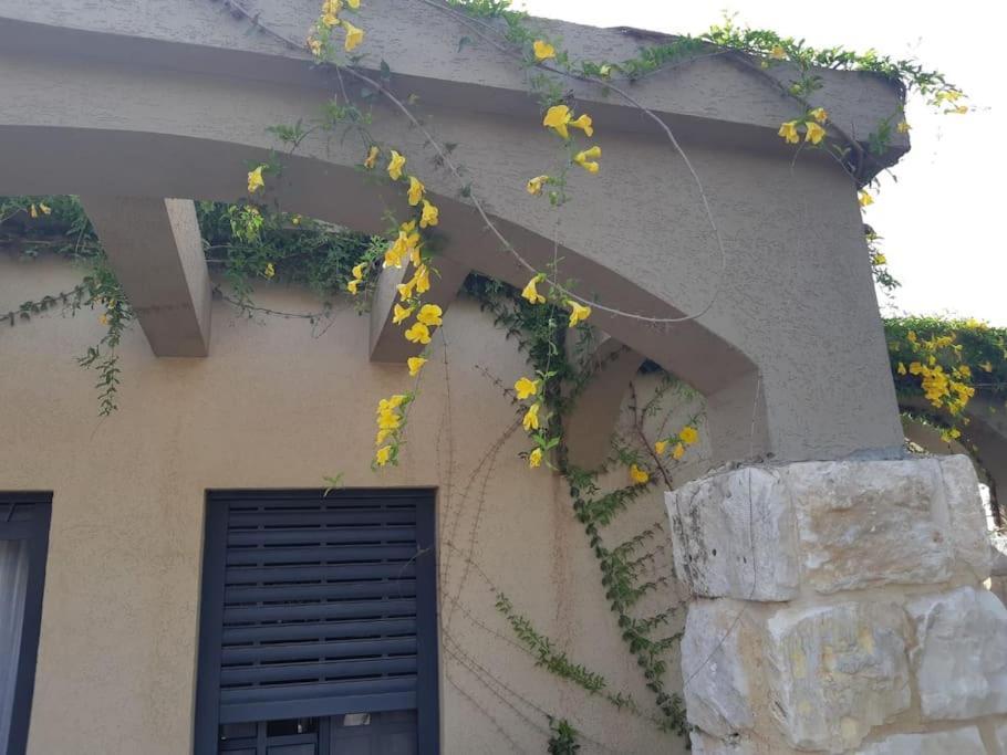 Hadar Rest & Relax Apartment Kefar Hittim Exterior photo